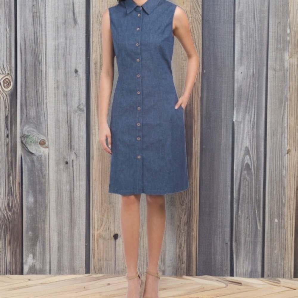 Anne Klein sleeveless denim dress